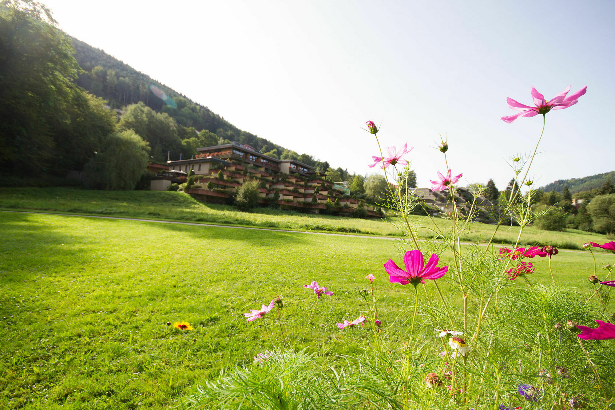 Hotel Valsana Am Kurpark Bad Wildbad Ngoại thất bức ảnh